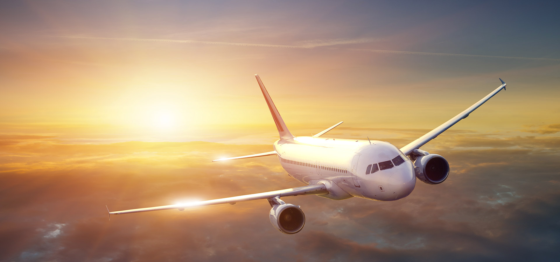 NEOKOREA | 네오코리아